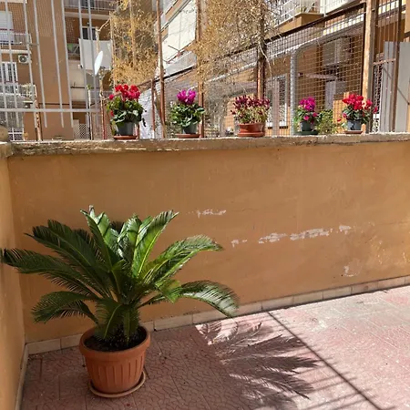 Oleander * Castellammare di Stabia